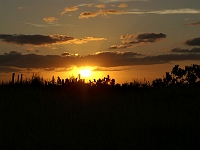 PICT0466 web.jpg